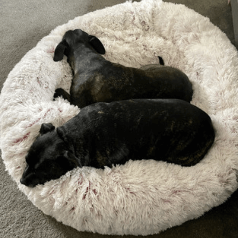 PawfectPawz™ Calming Bed