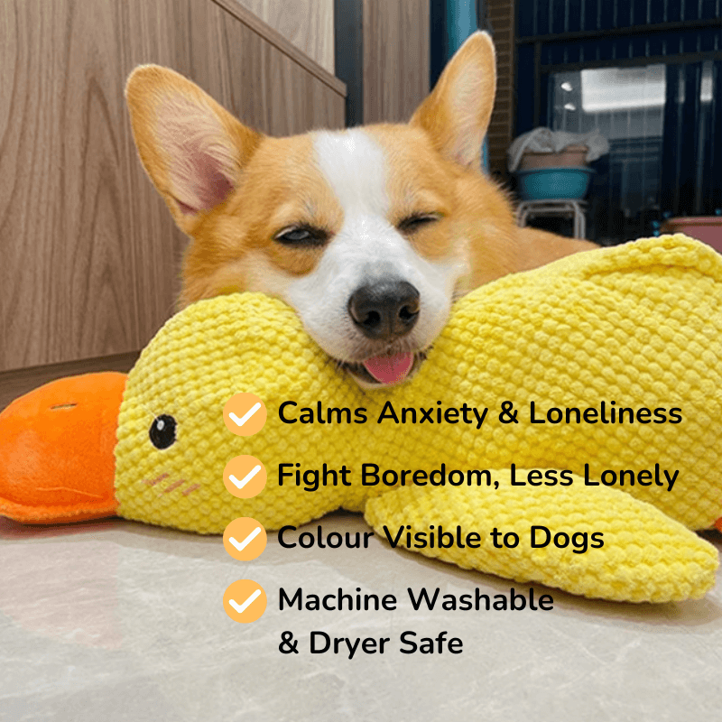 PawfectPawz™ Calming Duck