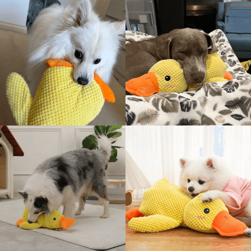 PawfectPawz™ Calming Duck