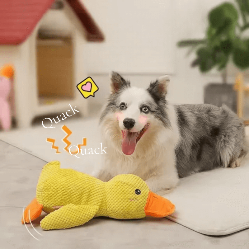 PawfectPawz™ Calming Duck