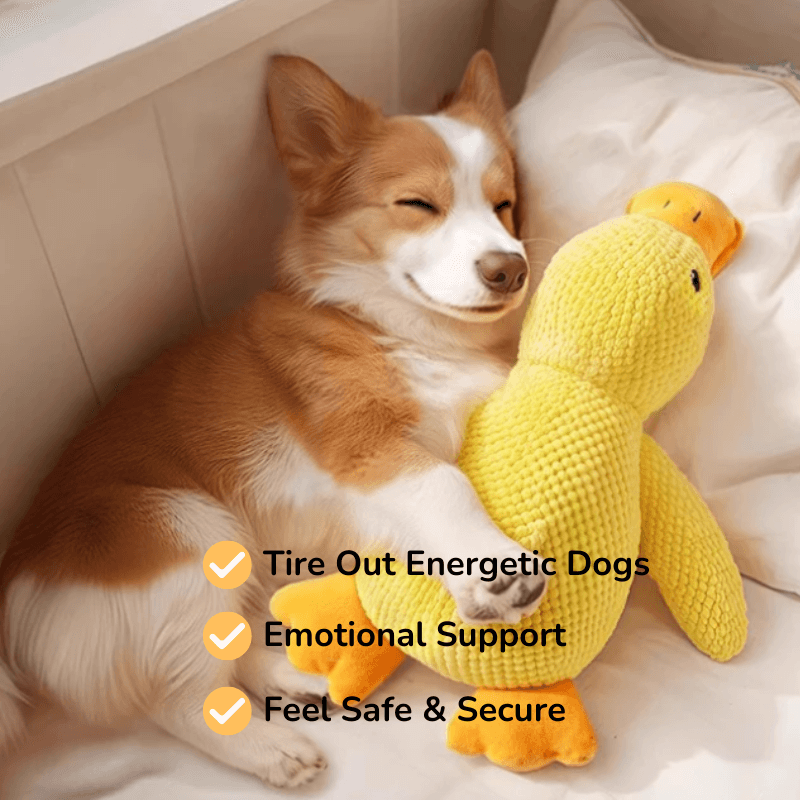 PawfectPawz™ Calming Duck