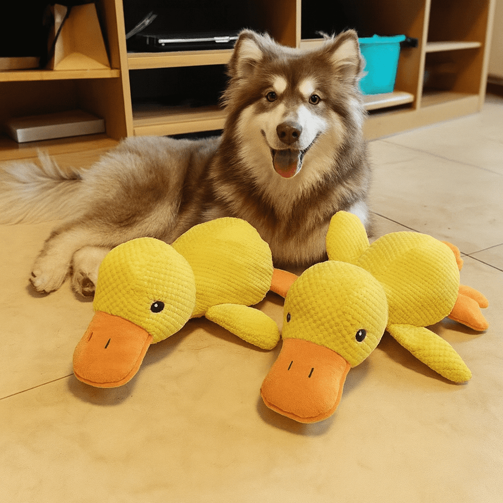 PawfectPawz™ Calming Duck