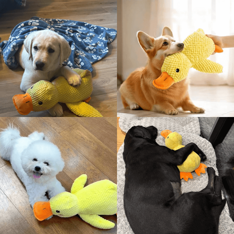 PawfectPawz™ Calming Duck