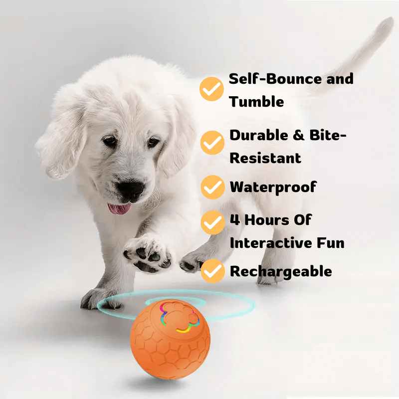 PawfectPawz™ Automatic Ball