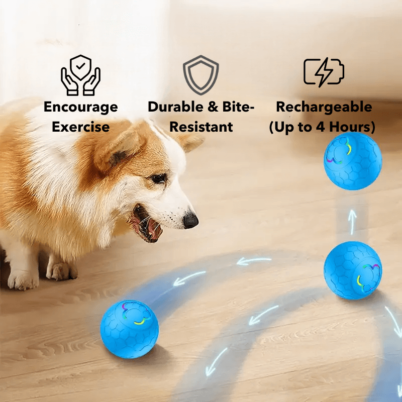 PawfectPawz™ Automatic Ball