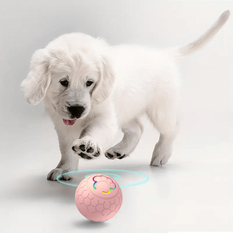 PawfectPawz™ Automatic Ball