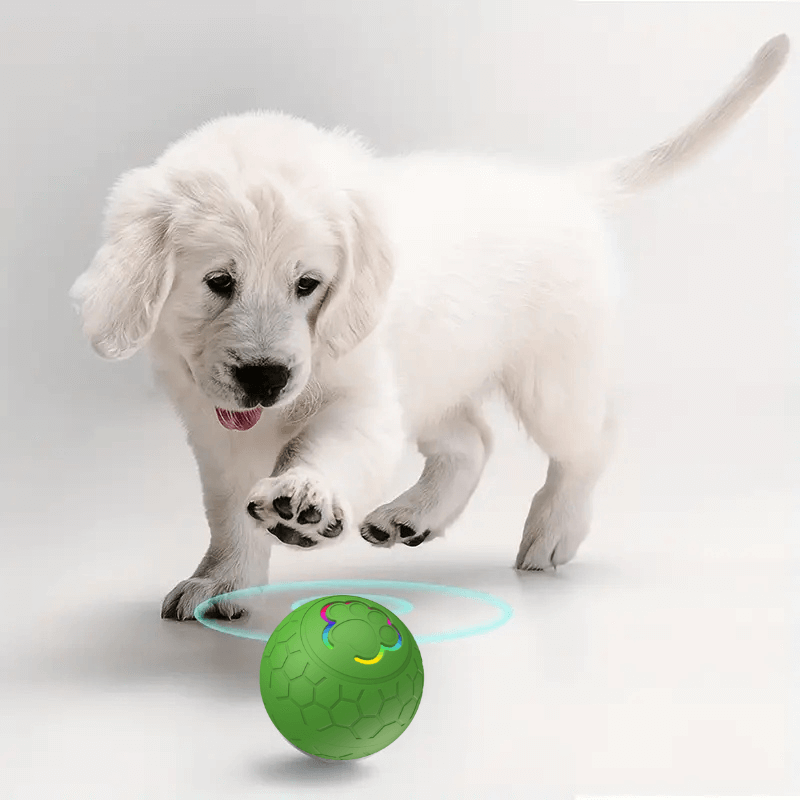 PawfectPawz™ Automatic Ball