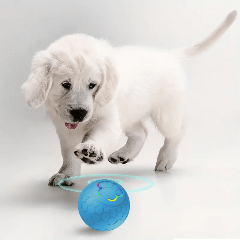 PawfectPawz™ Automatic Ball