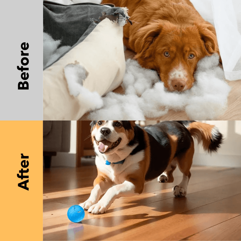 PawfectPawz™ Automatic Ball