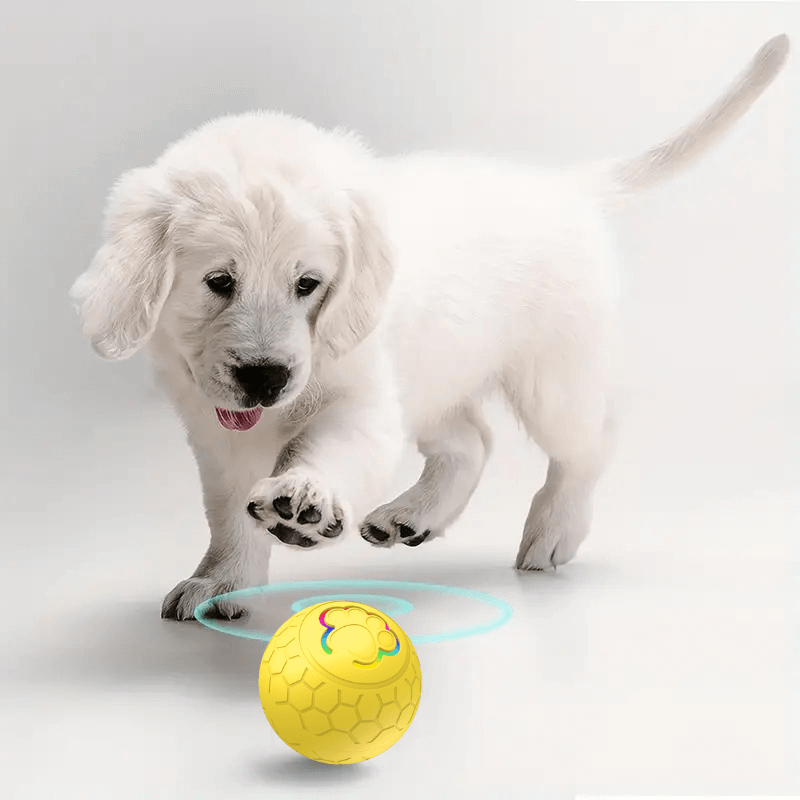 PawfectPawz™ Automatic Ball