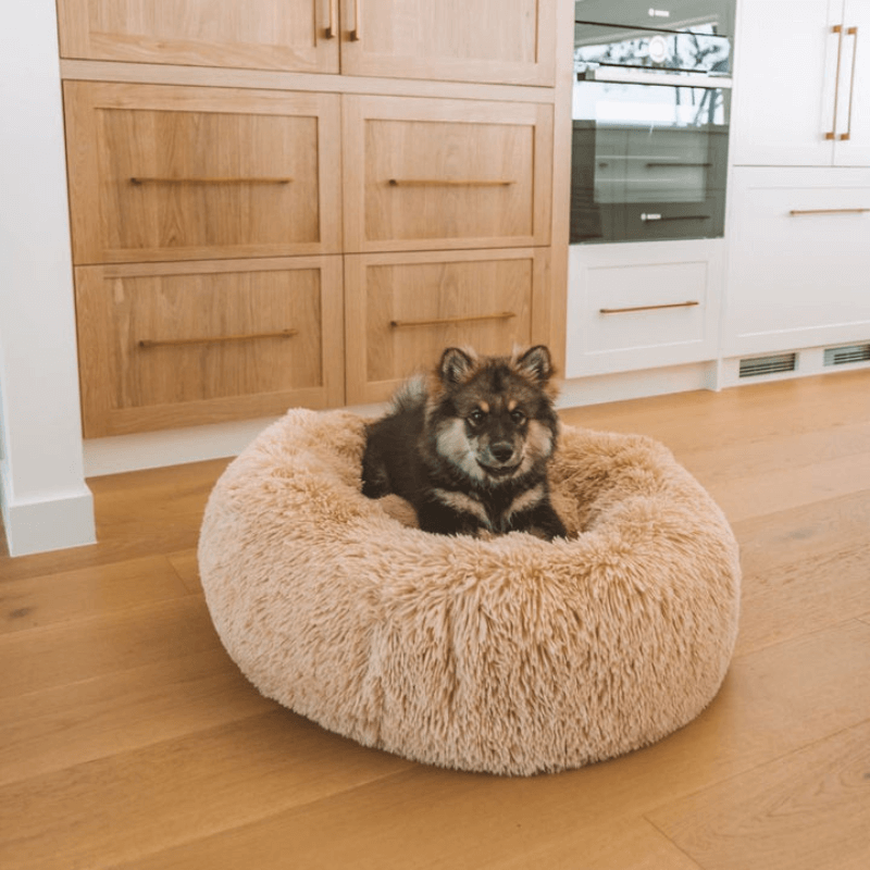 PawfectPawz™ Calming Bed