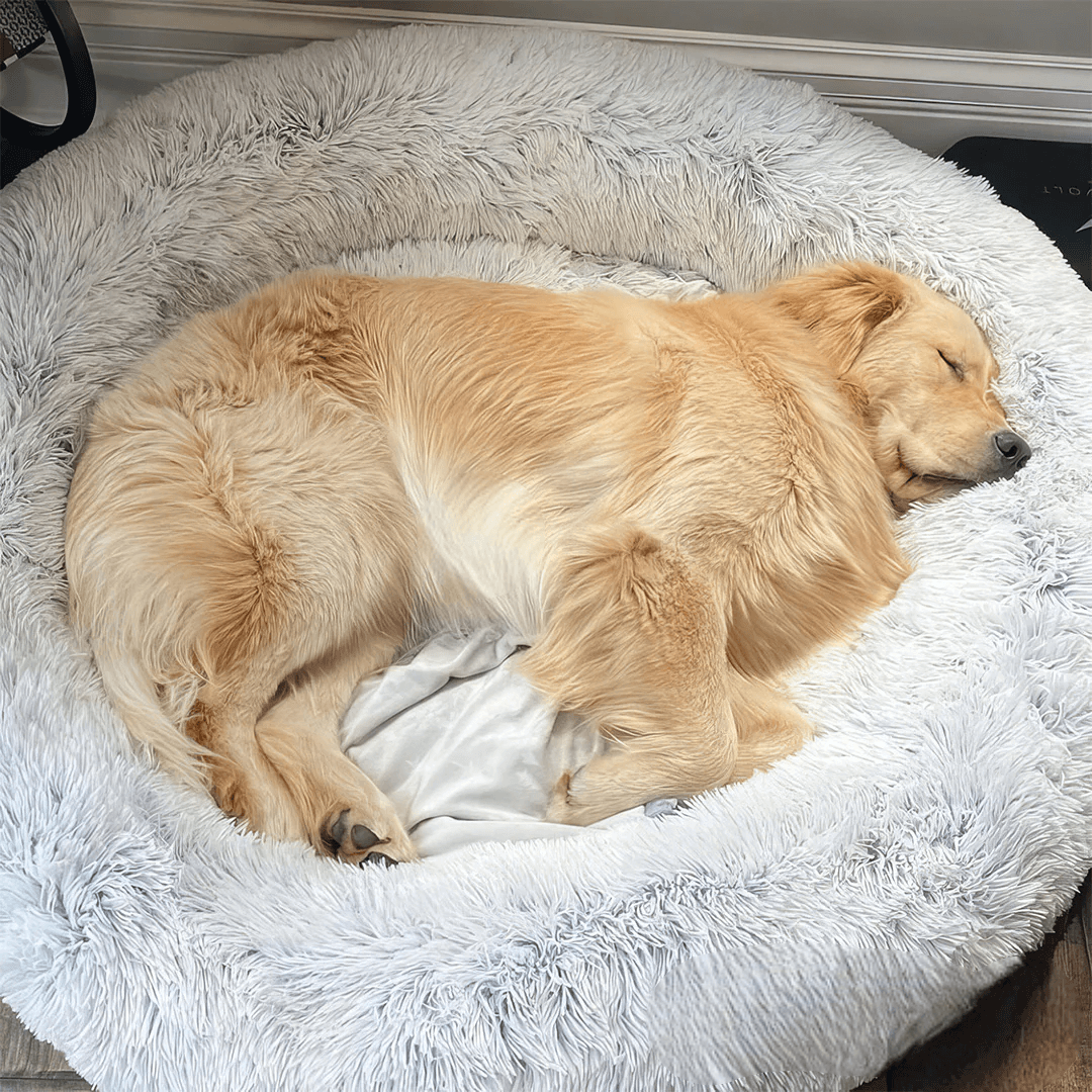 PawfectPawz™ Calming Bed