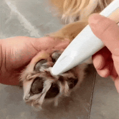PawfectPawz™ Fur Trimmer