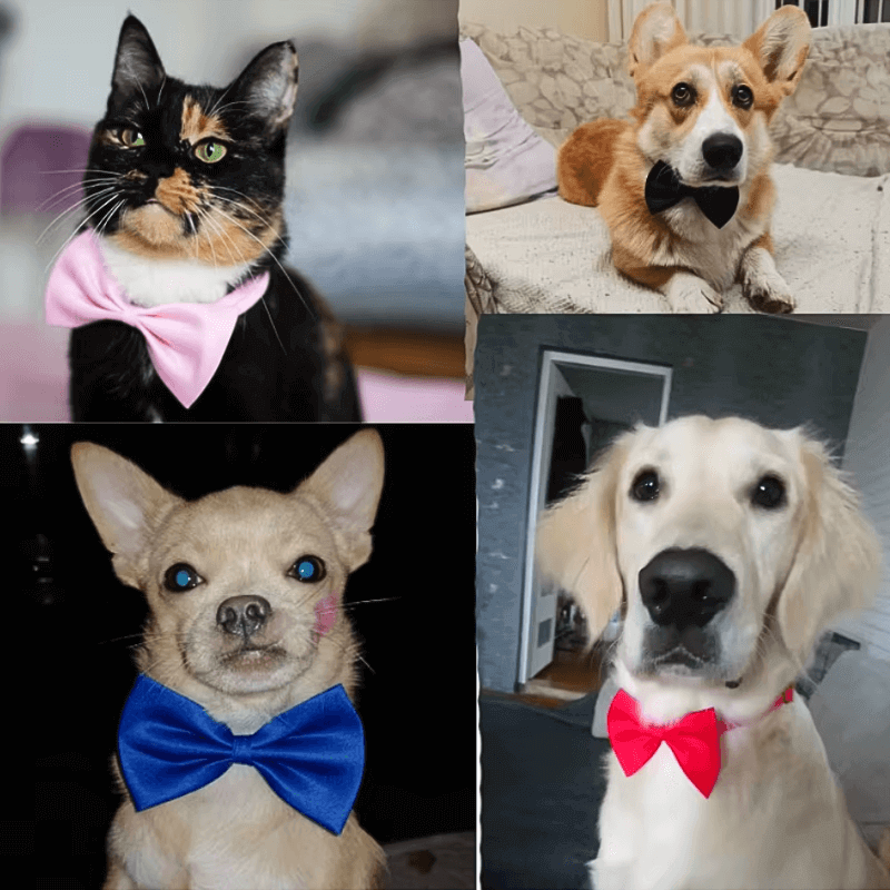 PawfectPawz™ Bow Tie Pack