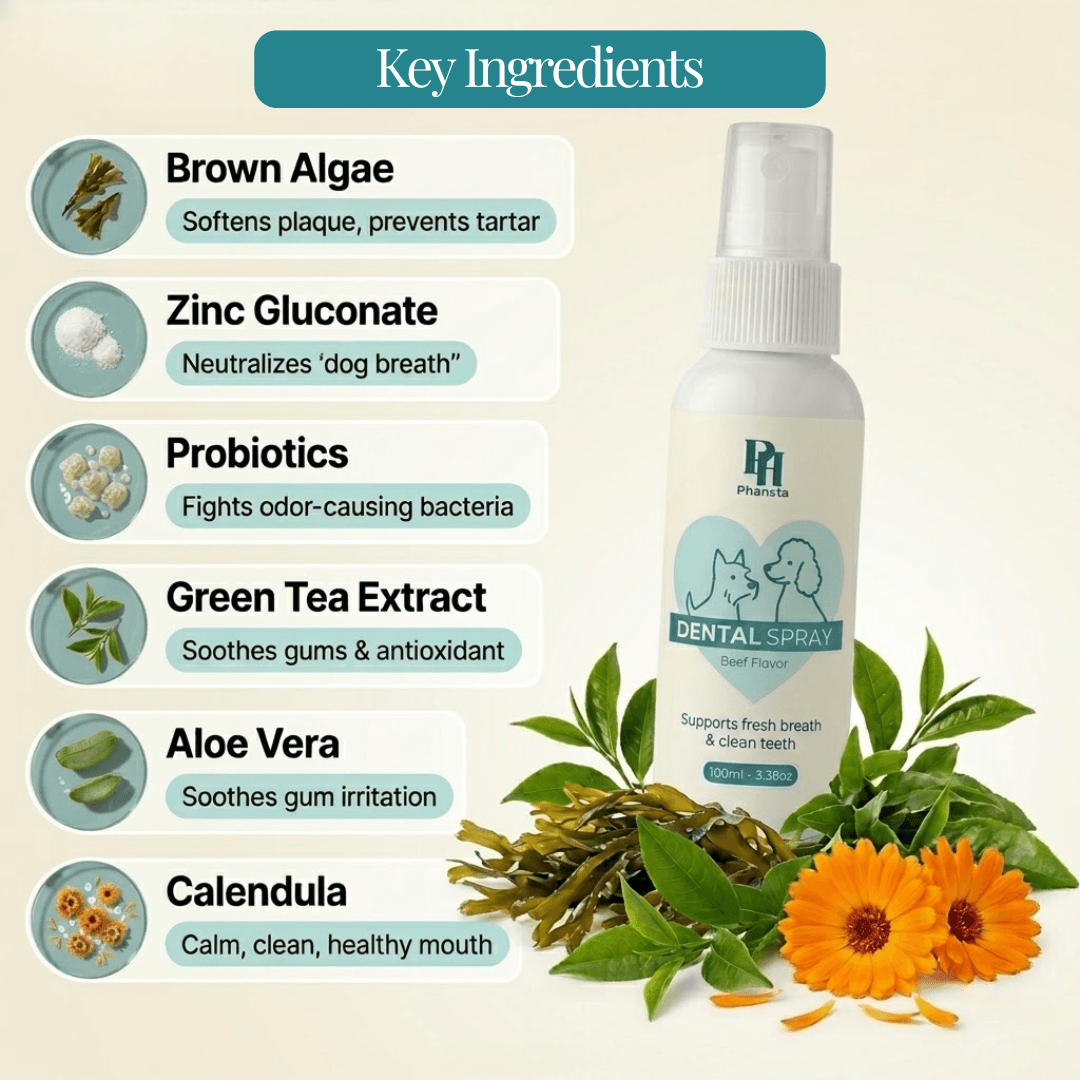 PawfectPawz™ Dental Topper Spray