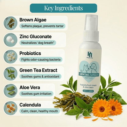 PawfectPawz™ Dental Topper Spray