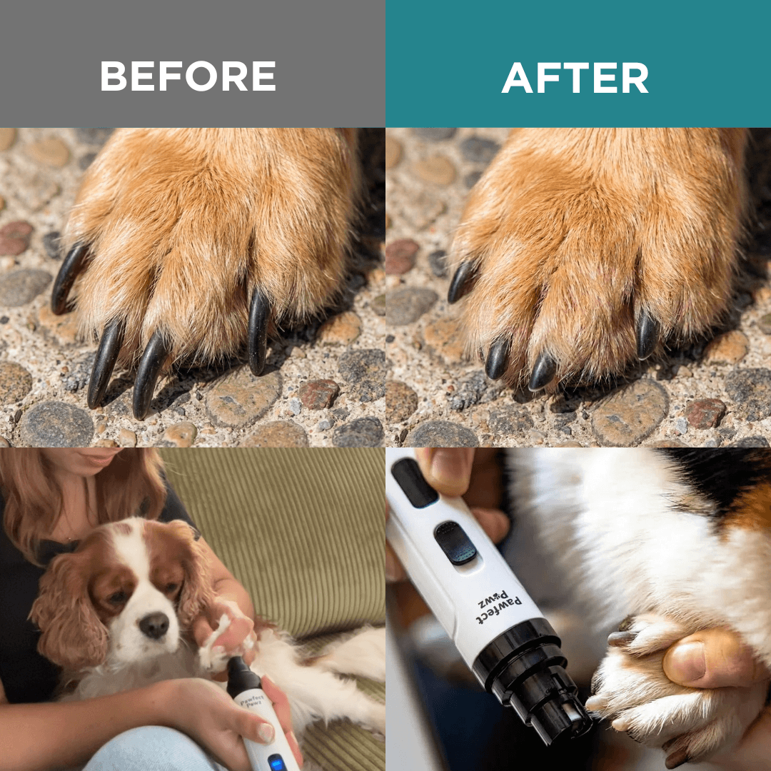 PawfectPawz™ Nail Grinder