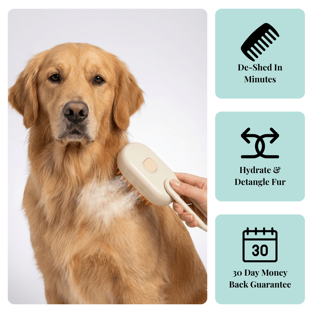 PawfectPawz™ Steam Brush