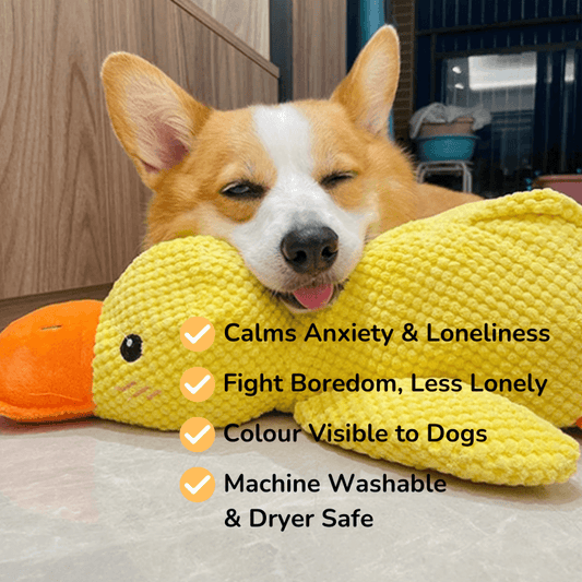 PawfectPawz™ Calming Duck