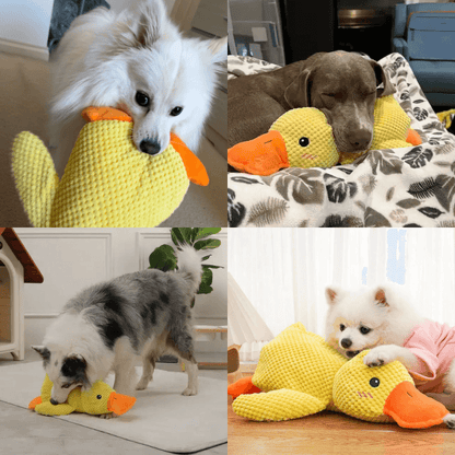 PawfectPawz™ Calming Duck