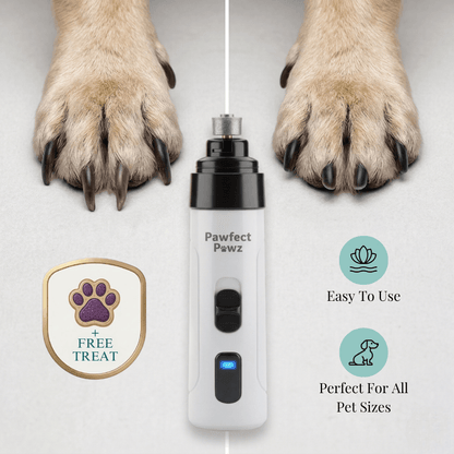 PawfectPawz™ Everyday Grooming Bundle
