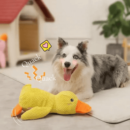 PawfectPawz™ Calming Duck