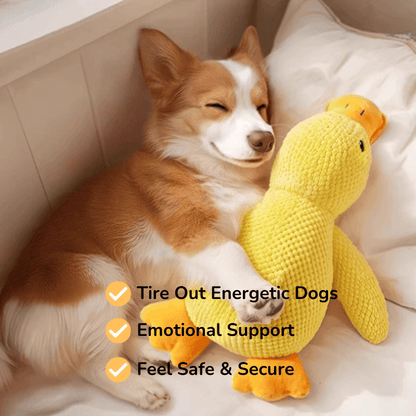 PawfectPawz™ Calming Duck