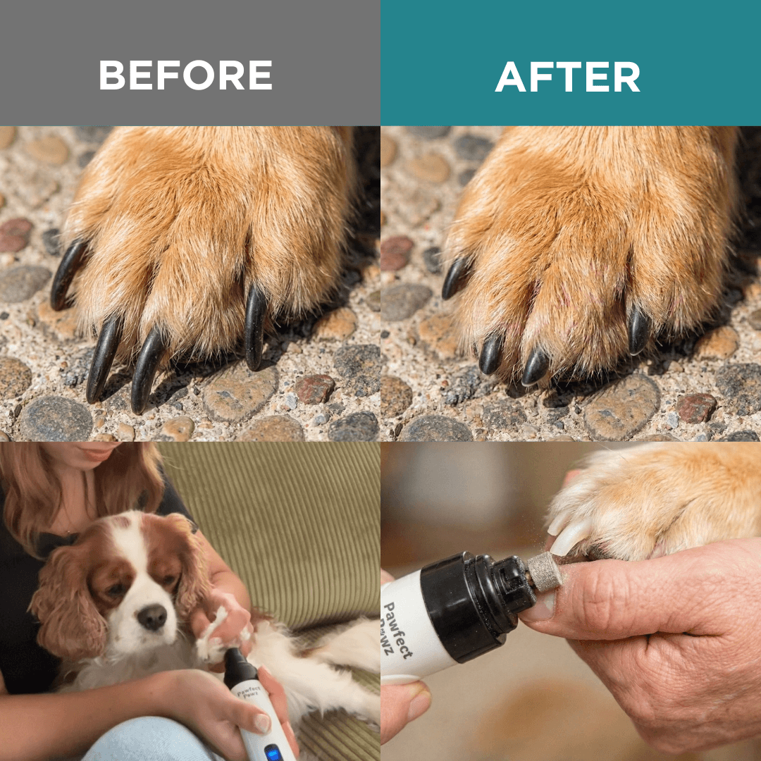 PawfectPawz™ Everyday Grooming Bundle