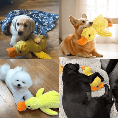 PawfectPawz™ Calming Duck