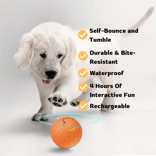 PawfectPawz™ Automatic Ball