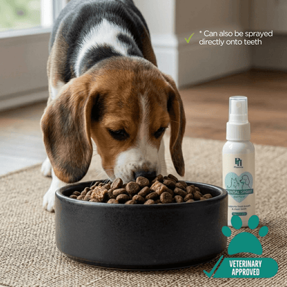 PawfectPawz™ Dental Topper Spray
