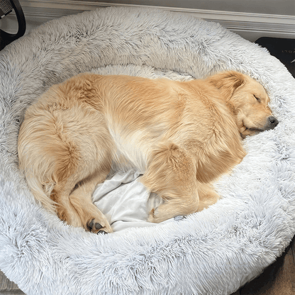 PawfectPawz™ Calming Bed