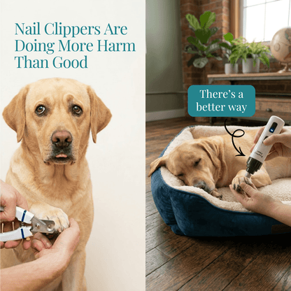 PawfectPawz™ Nail Grinder