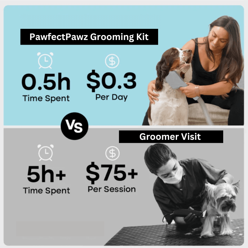 PawfectPawz™ 6 in 1 Vacuum Groomer