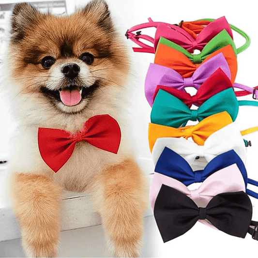 PawfectPawz™ Bow Tie Pack